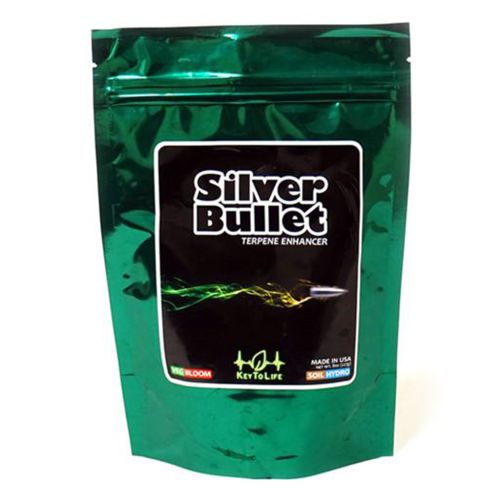 Key to Life Silver Bullet - 1 oz