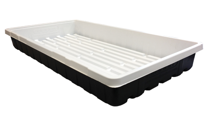 Mondi Black and White Premium 10 x 20 Propagation Tray
