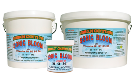 Emerald Triangle Sonic Bloom