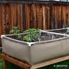 Grassroots 3 x 3  Living Soil Bed w/ trellis fittings ***