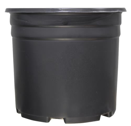 Thermoformed Nursery Pot