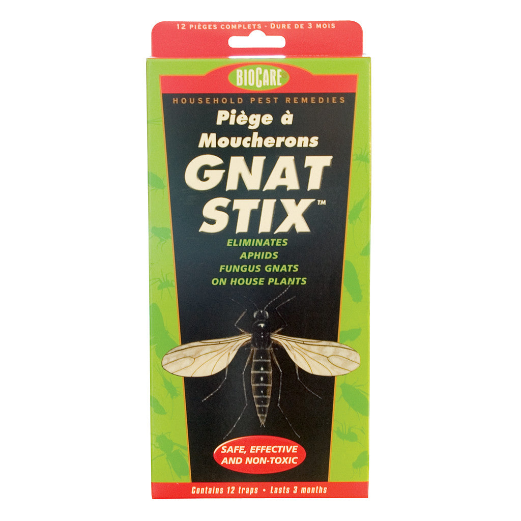 Bug Stix, 12 Pack