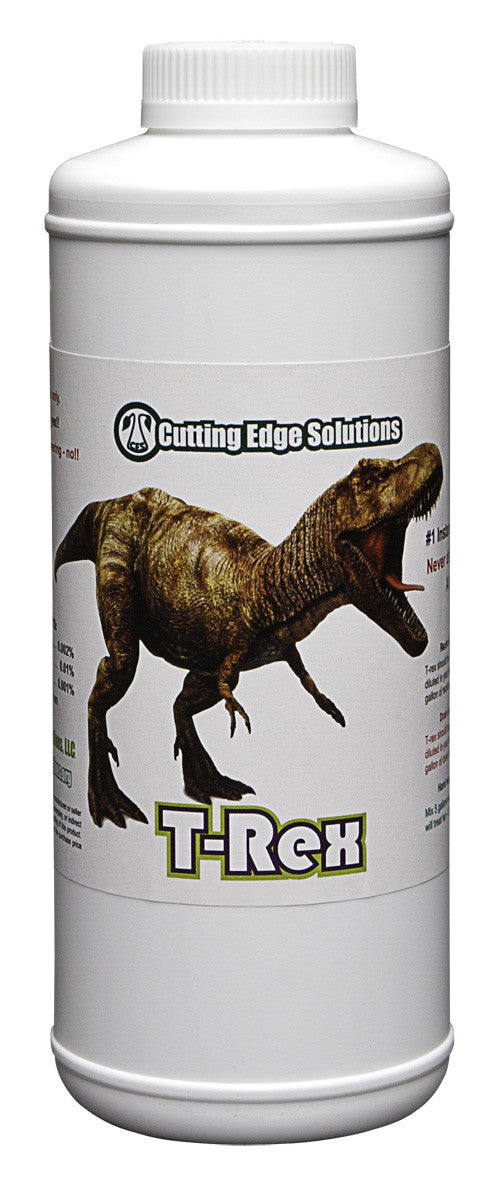 T-Rex 1 pt