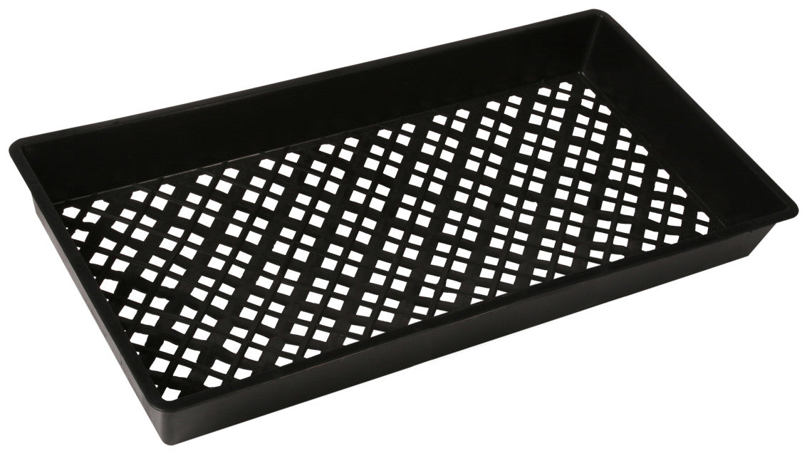 Mesh Tray, 10x20"