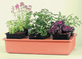 Emily's Moisture Mat