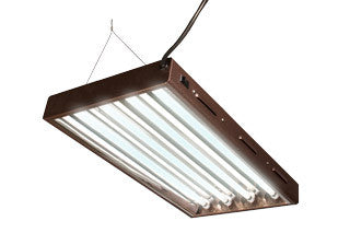 AgroBrite T5 2Ft/4-Tube Designer System w/ Bulbs