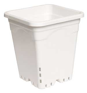 Active Aqua 6" x 6" Square White Pot, 8" Tall