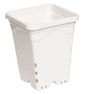 Active Aqua 7" x 7" Square White Pot, 9" Tall