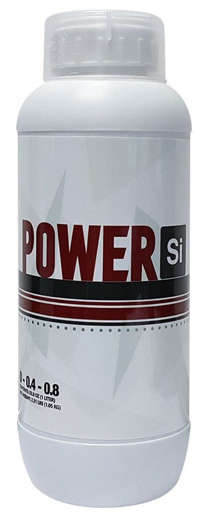 PowerSi Original Silicic Acid