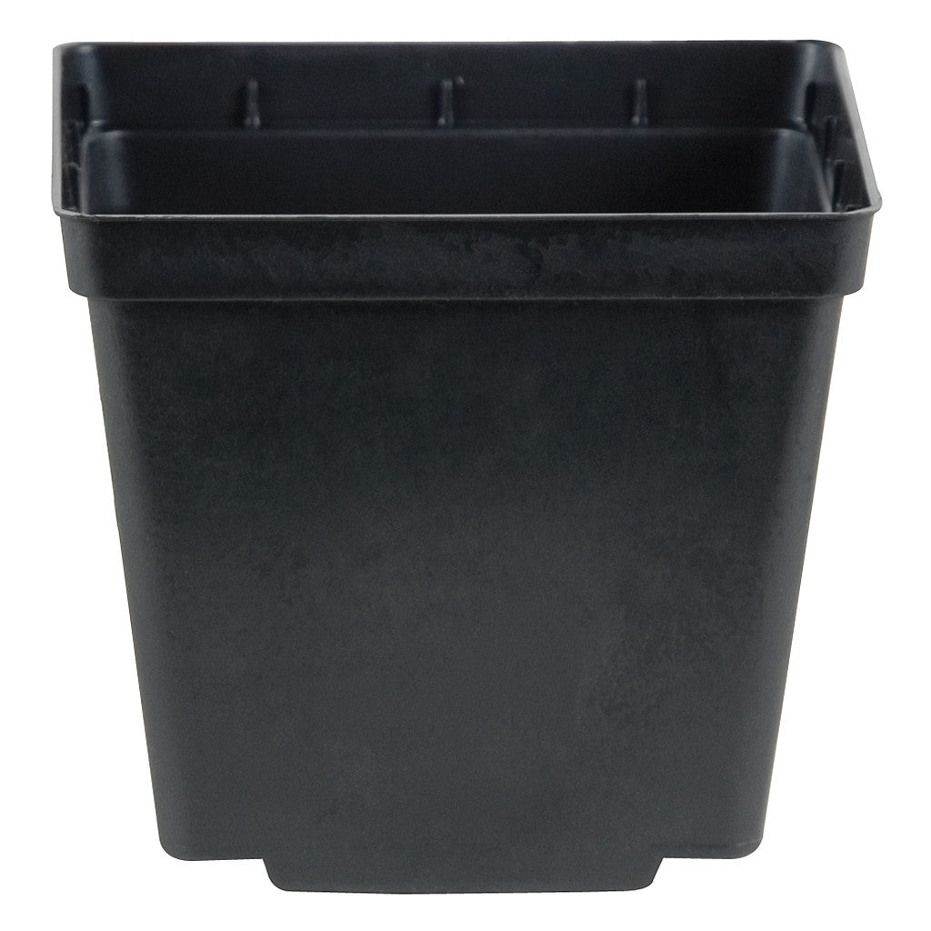 Kord Square Pot Black, 4"