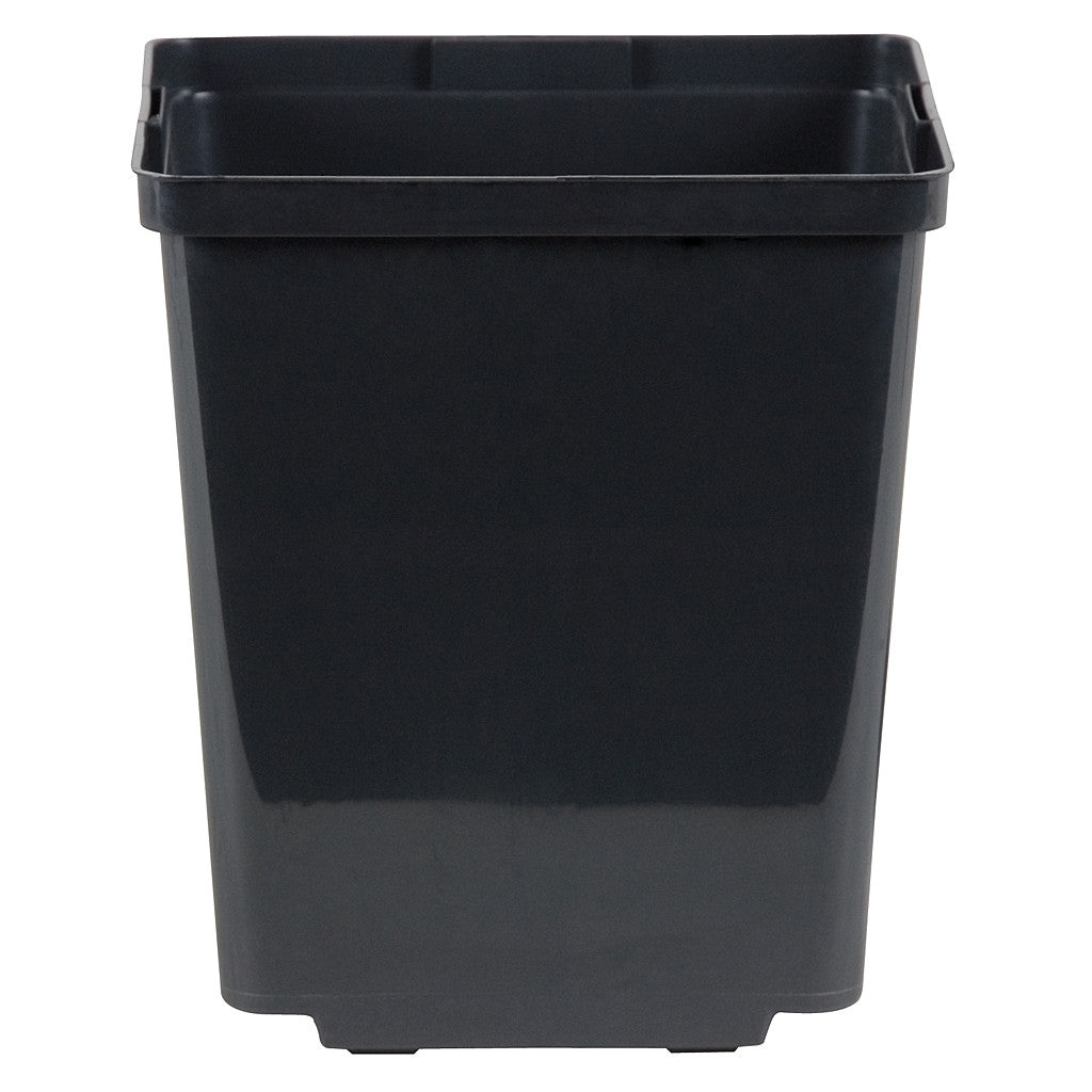 Kord Square Pot Black, 5.5"
