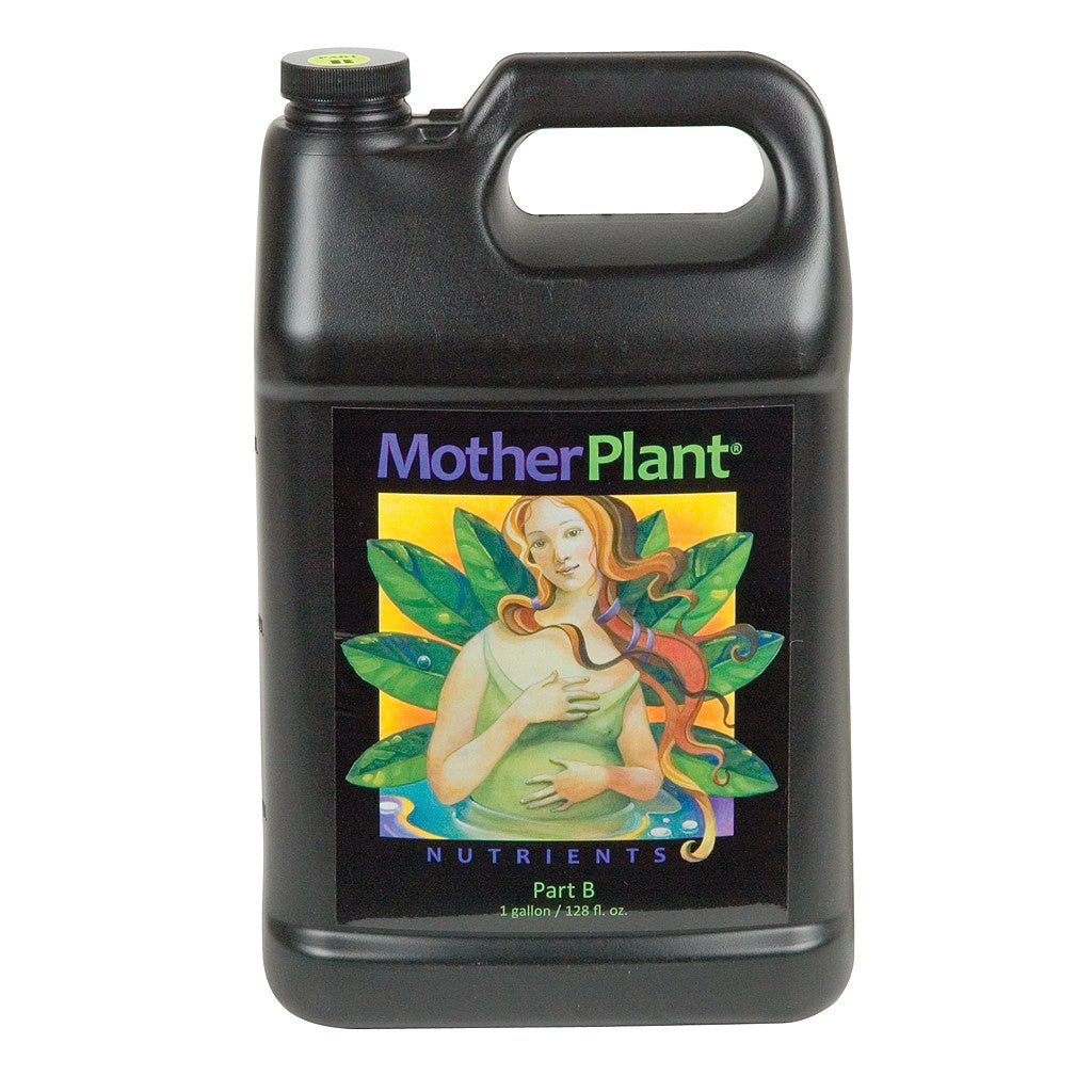MotherPlant B, gal