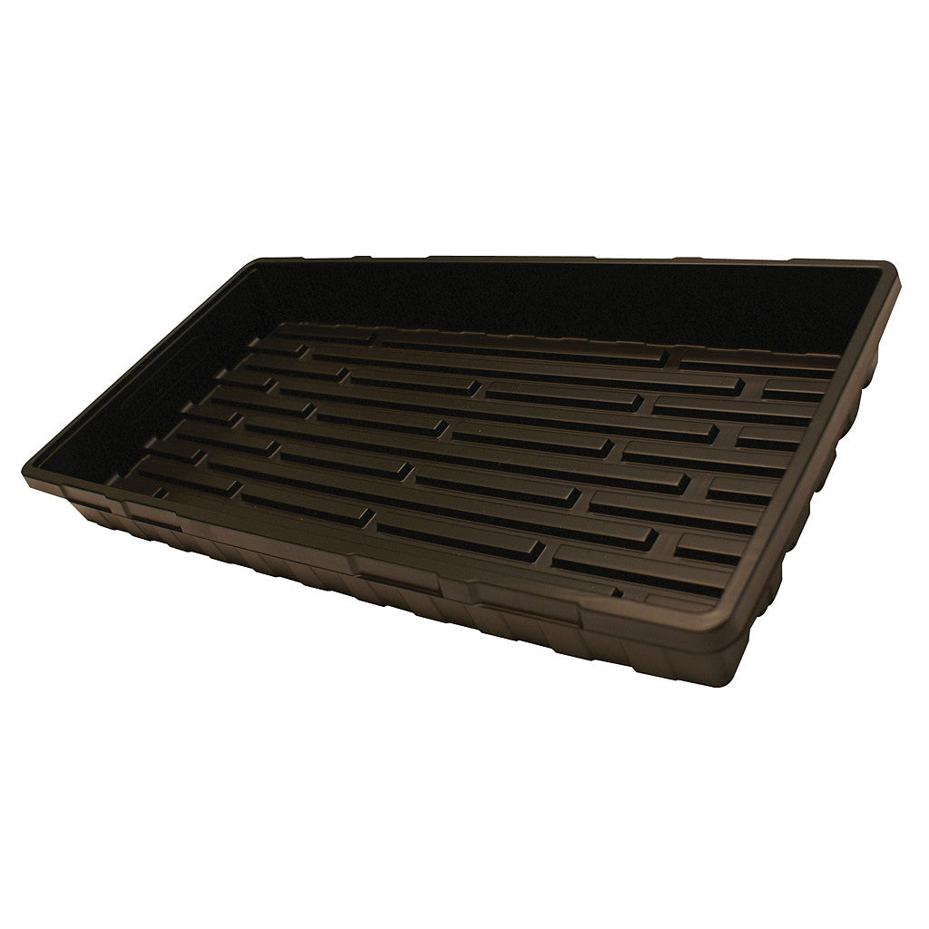 Mondi Standard Flat w/o holes, 11" x 22" x 2.5"