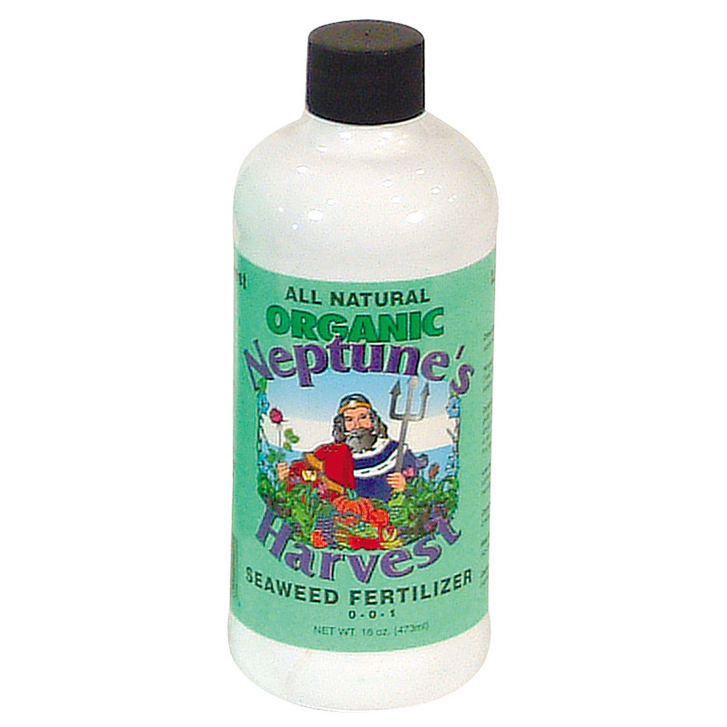 Neptune's Harvest Seaweed, 16 oz