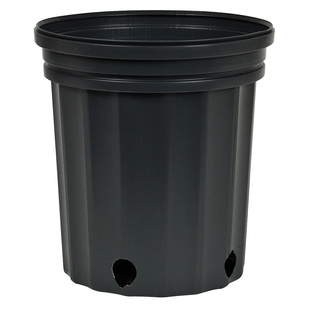 Nursery Pot #1 Black