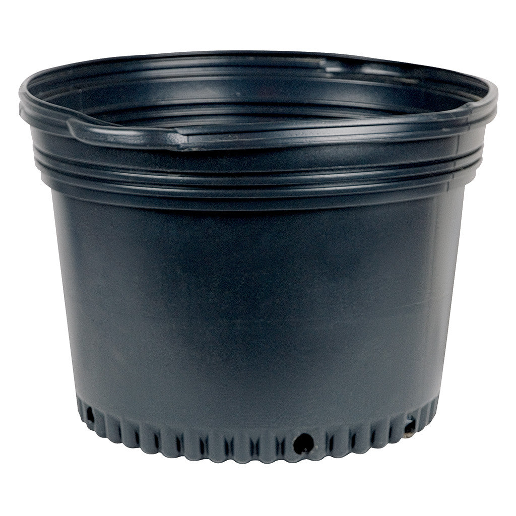 Nursery Pot #7 Black