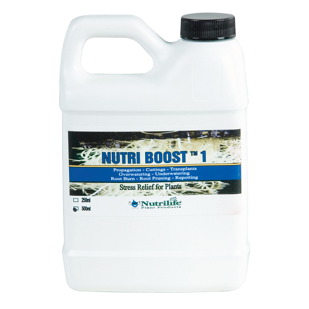 Nutri Boost, 500 ml