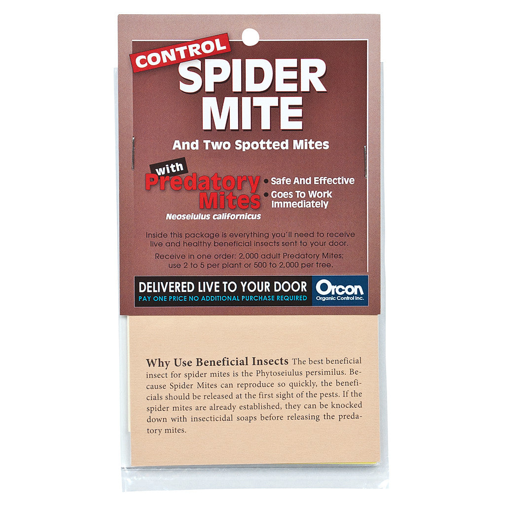 Predatory Mite Mail Back, 2,000 Adults