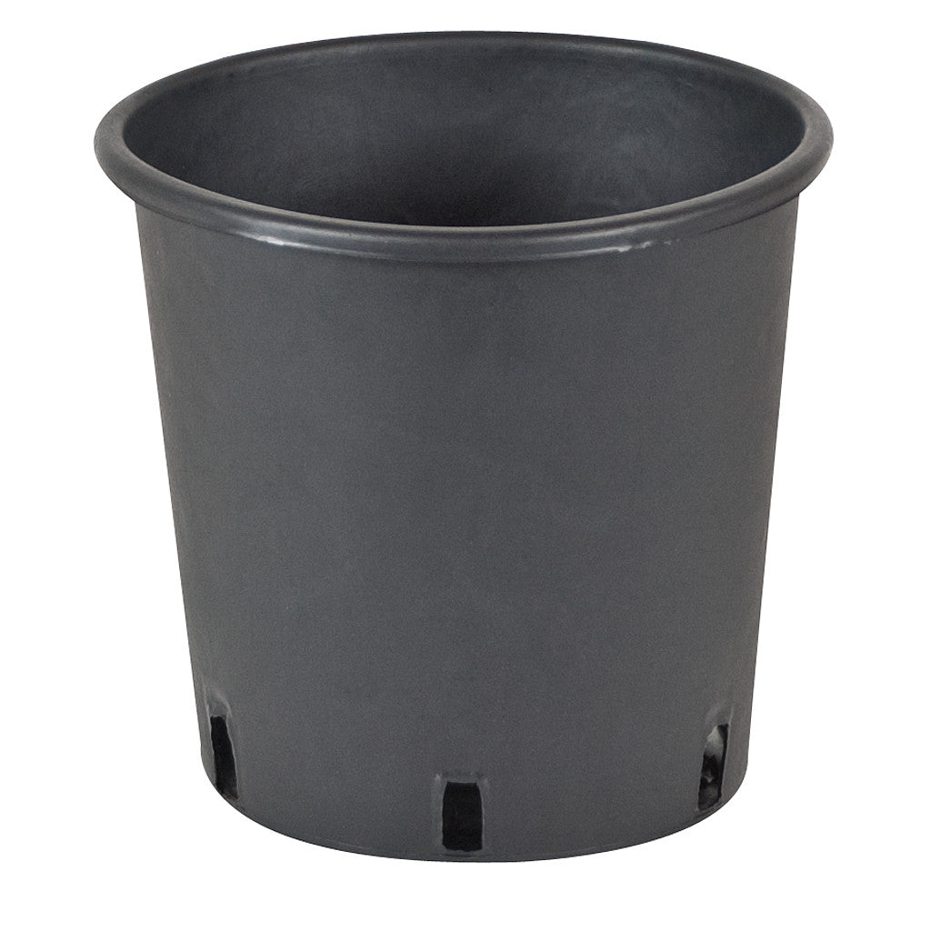 Premium Nursery Pot, gal
