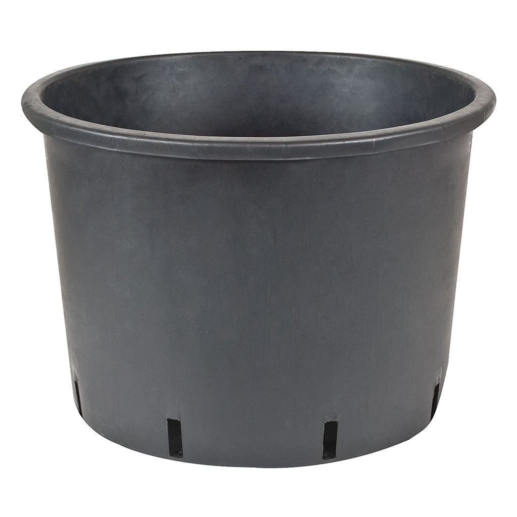 Premium Nursery Pot, 10 gal