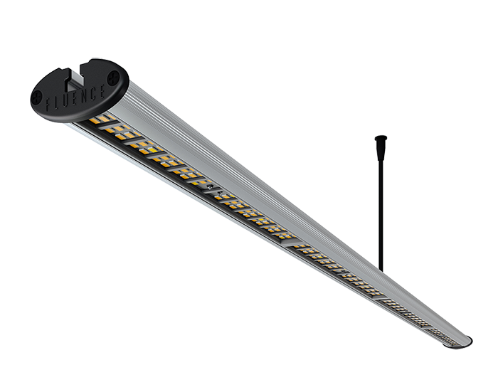 Fluence SPYDR RAY LED 44" PhysioSpec