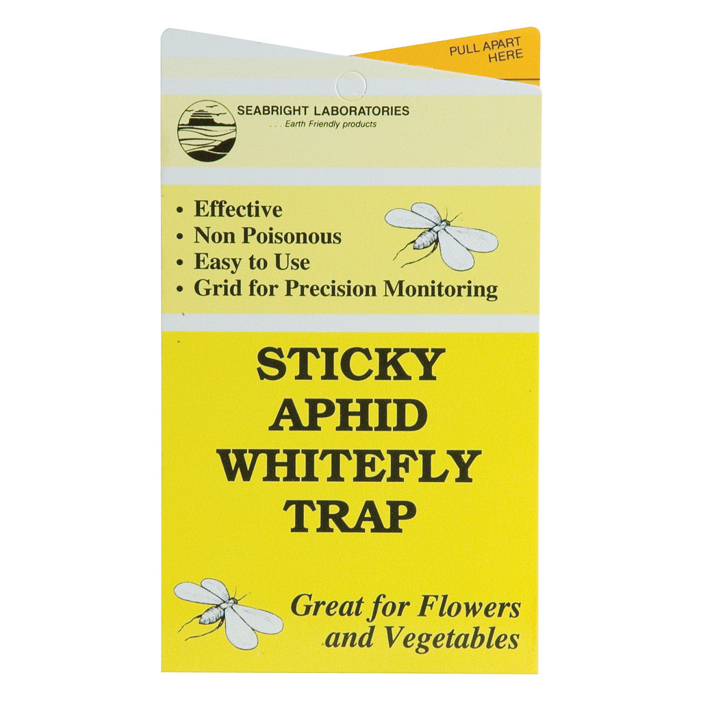 Sticky Aphid/Whitefly Traps, 30 Pack