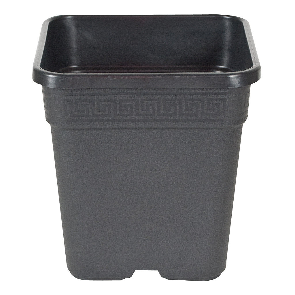 Square Pot Black, 5"