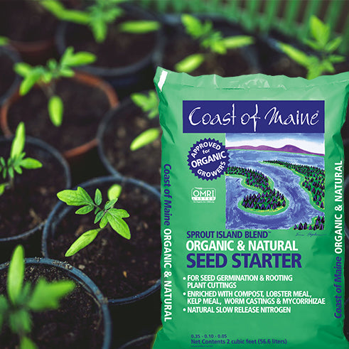 Coast of Maine Sprout Island Seed Starter Soil ***