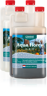 Canna Aqua Flores B