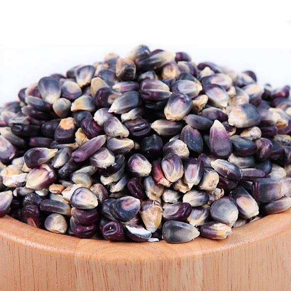 BAS Blue Corn Seed - 2.5 LB