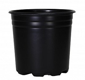 Pro Cal Thermo Pot, 2 Gal