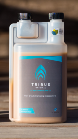 TRIBUS Original Bacillus Blend