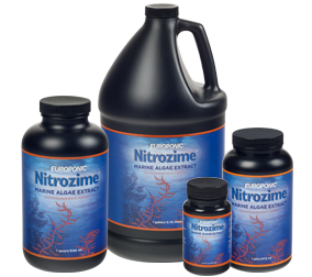HydroDynamics™ Europonic Nitrozime® 0 - 4 - 4