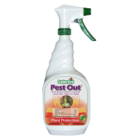 SaferGro Pest Out RTU Quart (6/Cs)
