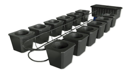 12-Site Bubble Flow Buckets Grow System