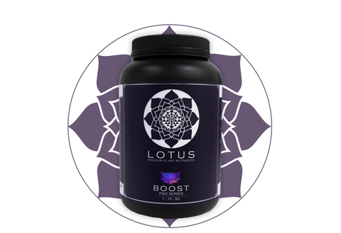 Lotus Nutrients BOOST 18oz