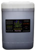 Plant Amp 6 gal