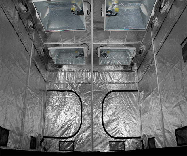 gorilla grow tents 10' x 10' Gorilla Grow Tent PRO (2 boxes) – capcityhydro