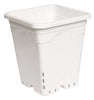 Active Aqua 9" x 9" Square White Pot, 10" Tall