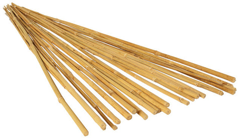 8' Natural Bamboo Stake
