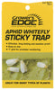 Grower's Edge Aphid Whitefly Sticky Trap 5/Pack (80/Cs)