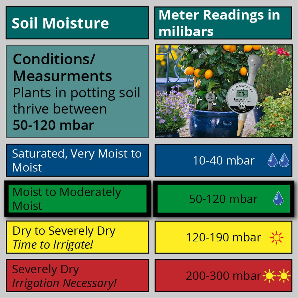 soil moisture meter reading chart Blumat Digital Moisture Meter – capcityhydro