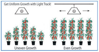 Light Track System, 4'