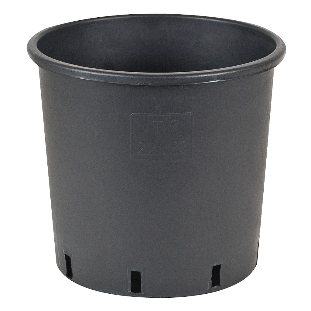 Premium Nursery Pot, 2 gal