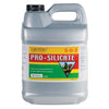 Pro-Silicate, 10 L