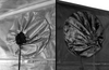 Gorilla Grow Tent, 8'x16'