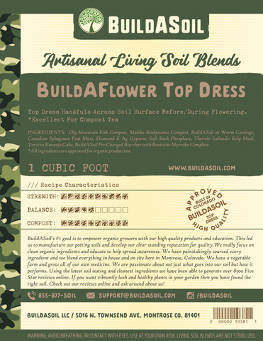 Build-A-Flower Top Dress