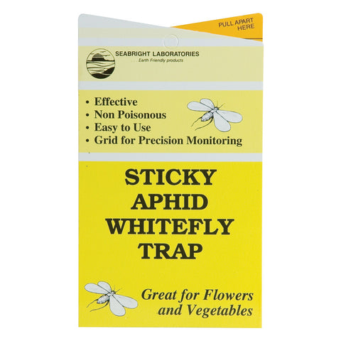 Sticky Aphid/Whitefly Traps, 30 Pack