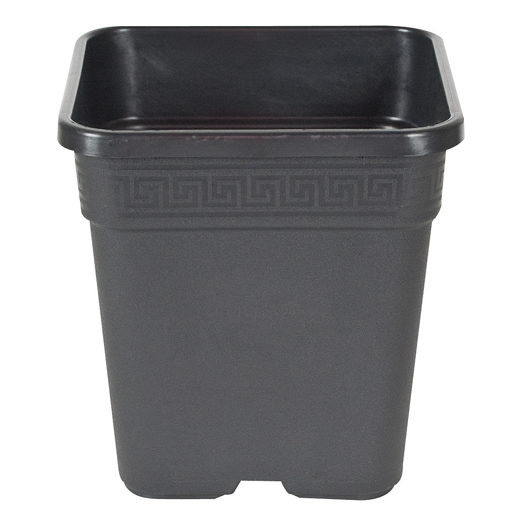 Square Pot Black, 8"