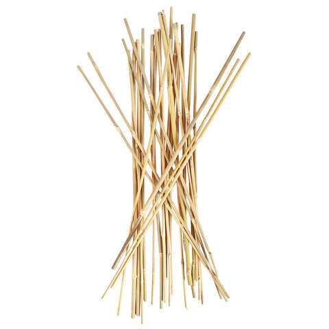Smart Support Bamboo Stakes 2', 25 Pack